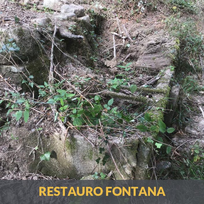 FONTANA-1