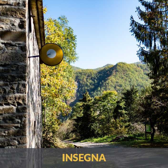 INSEGNA1
