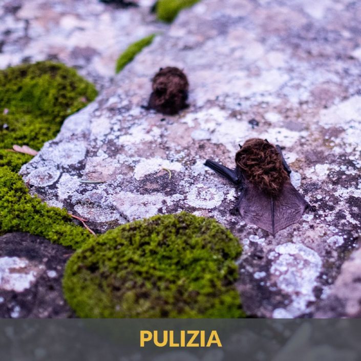 Lavorazioni-Rifugio-Trappisa-0047