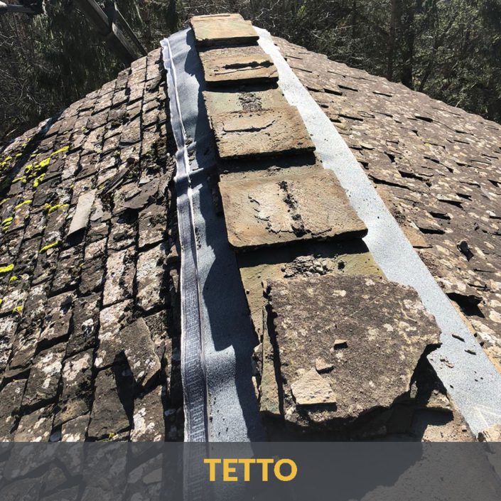 TETTO1