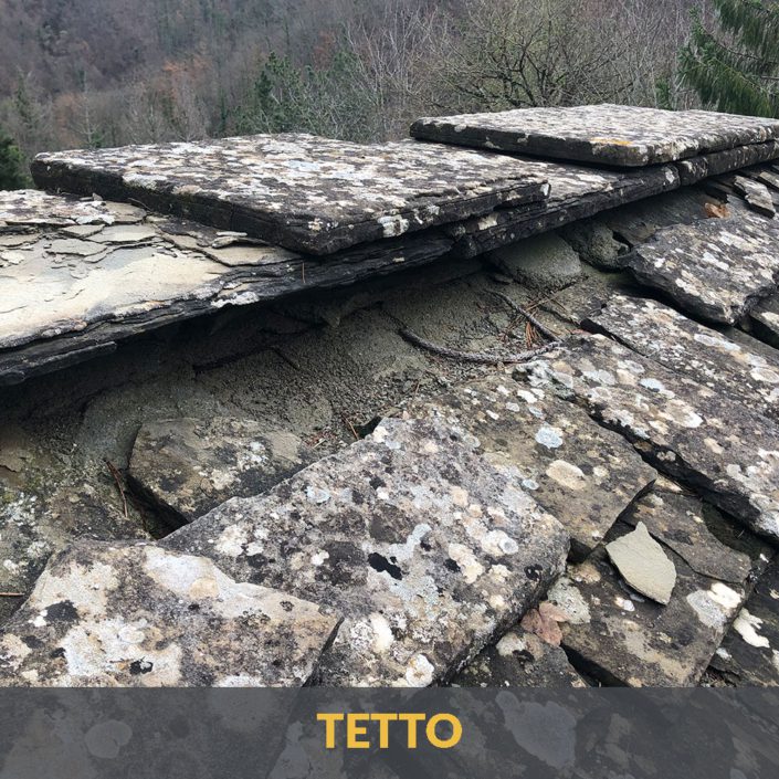 TETTO4