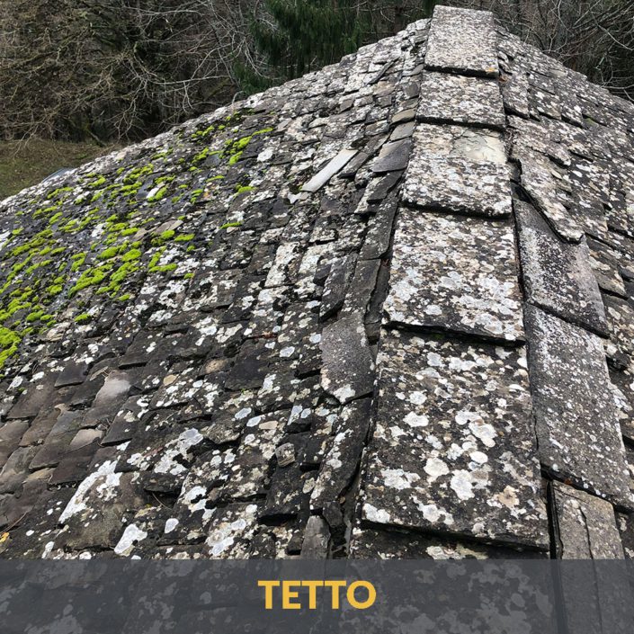 TETTO5