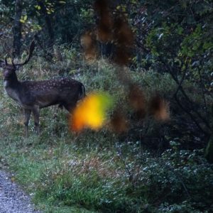 Passaggi-d'autunno-Trapisa-di-sotto-0000