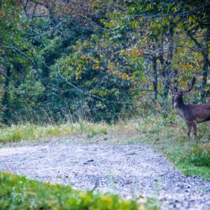 Passaggi-d'autunno-Trapisa-di-sotto-0001
