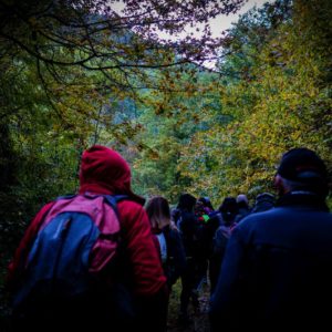 Passaggi-d'autunno-Trapisa-di-sotto-0010