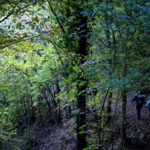 Passaggi-d'autunno-Trapisa-di-sotto-0013