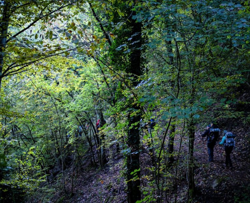 Passaggi-d'autunno-Trapisa-di-sotto-0013