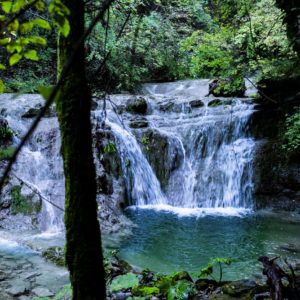 Passaggi-d'autunno-Trapisa-di-sotto-0014