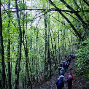 Passaggi-d'autunno-Trapisa-di-sotto-0016