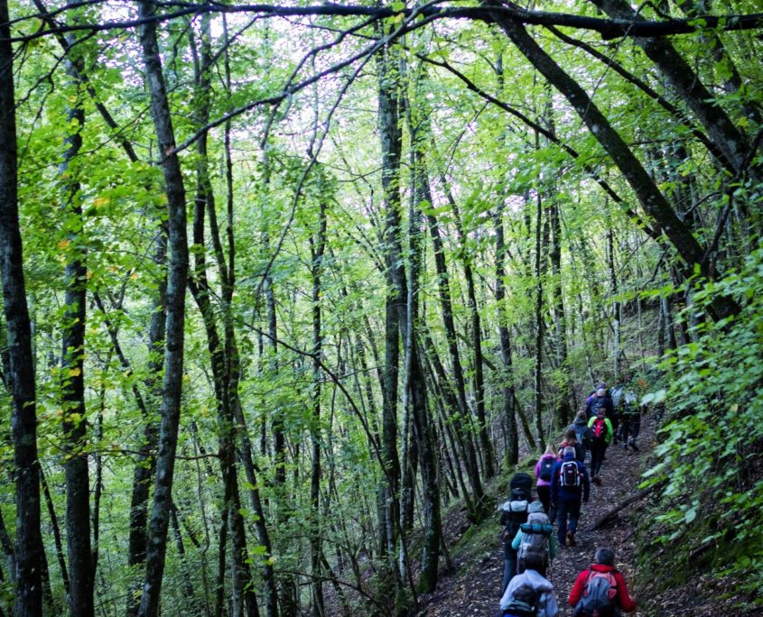 Passaggi-d'autunno-Trapisa-di-sotto-0016