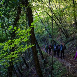 Passaggi-d'autunno-Trapisa-di-sotto-0020