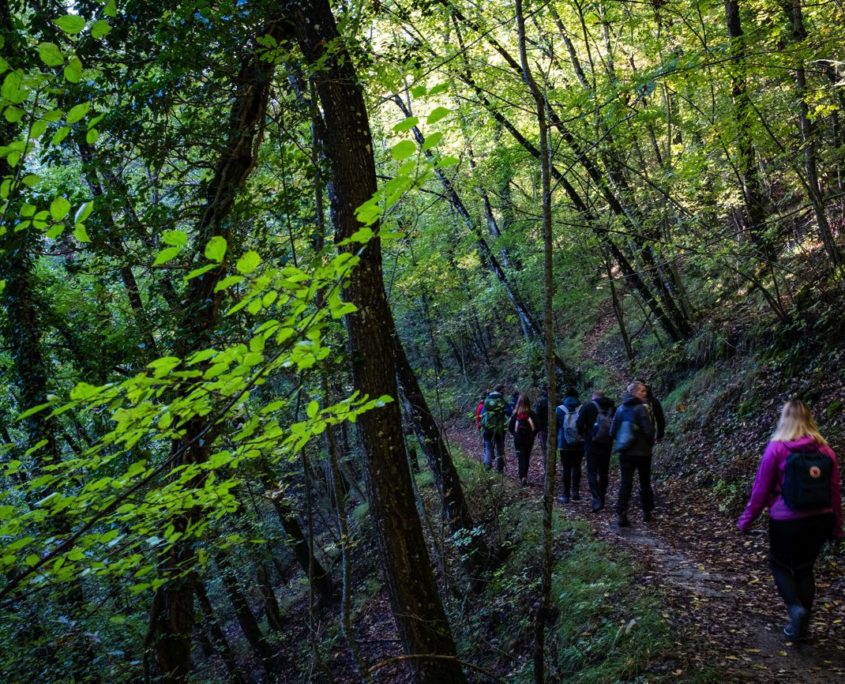 Passaggi-d'autunno-Trapisa-di-sotto-0020