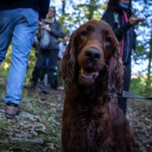 Passaggi-d'autunno-Trapisa-di-sotto-0022