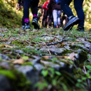 Passaggi-d'autunno-Trapisa-di-sotto-0023