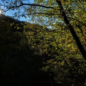 Passaggi-d'autunno-Trapisa-di-sotto-0025