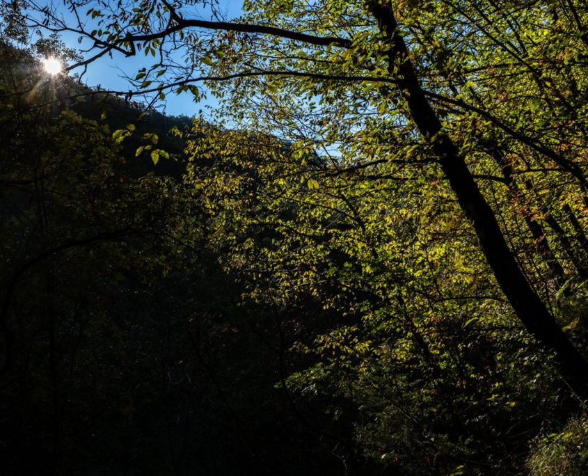 Passaggi-d'autunno-Trapisa-di-sotto-0025