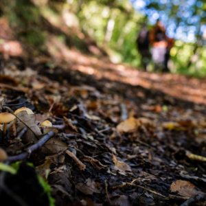 Passaggi-d'autunno-Trapisa-di-sotto-0030