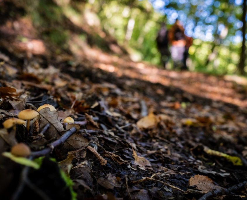 Passaggi-d'autunno-Trapisa-di-sotto-0030