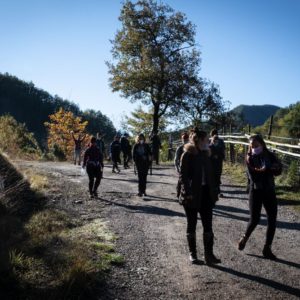 Passaggi-d'autunno-Trapisa-di-sotto-0031