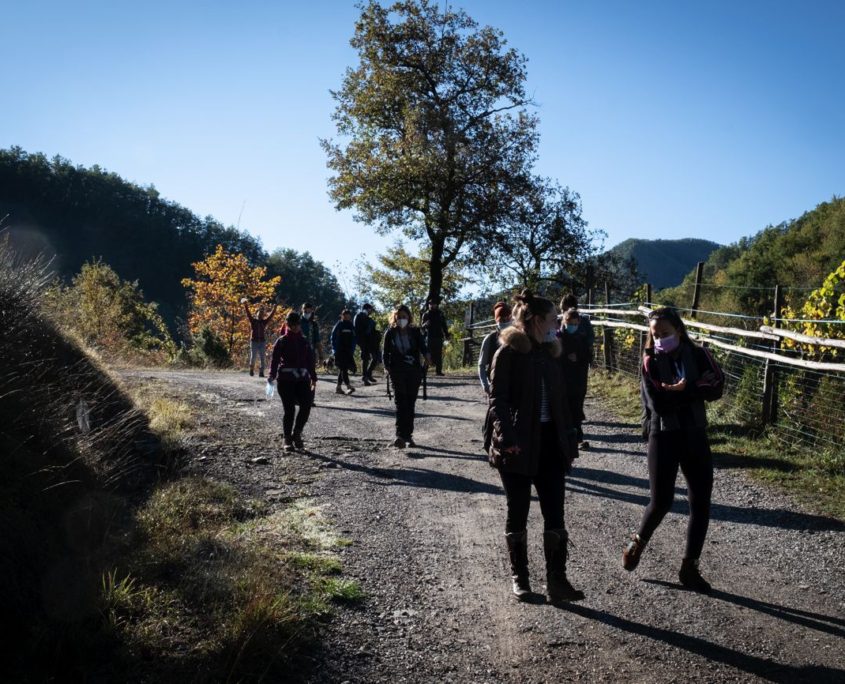 Passaggi-d'autunno-Trapisa-di-sotto-0031