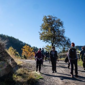 Passaggi-d'autunno-Trapisa-di-sotto-0032