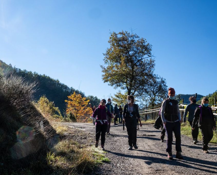 Passaggi-d'autunno-Trapisa-di-sotto-0032