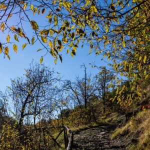 Passaggi-d'autunno-Trapisa-di-sotto-0037