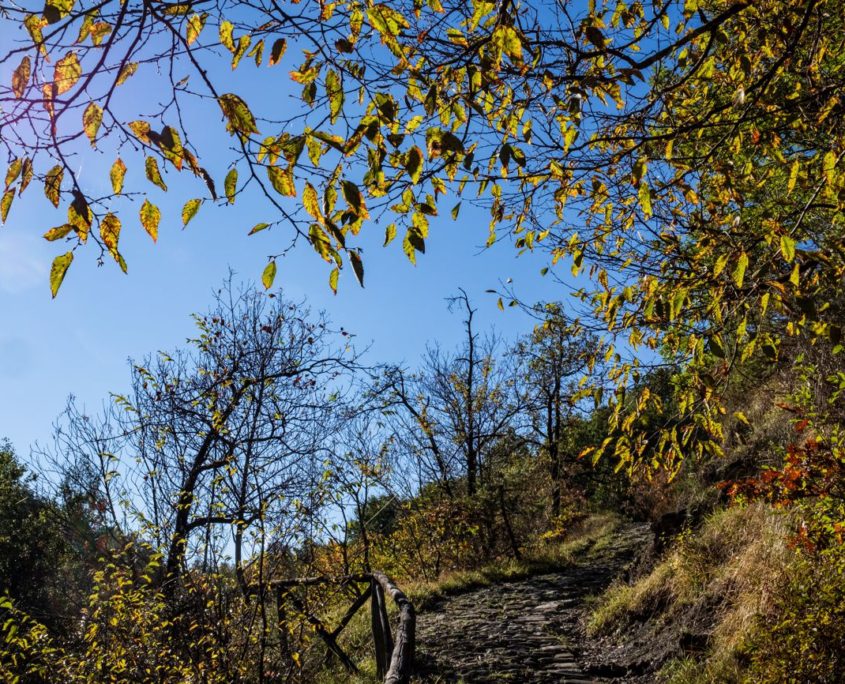 Passaggi-d'autunno-Trapisa-di-sotto-0037