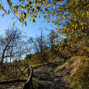Passaggi-d'autunno-Trapisa-di-sotto-0038