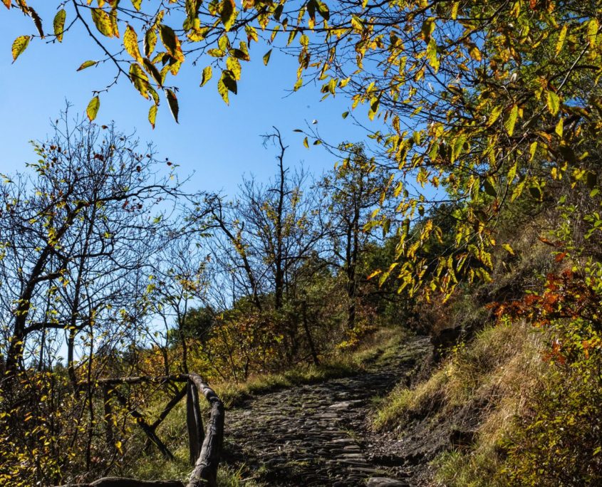 Passaggi-d'autunno-Trapisa-di-sotto-0038