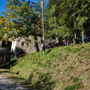 Passaggi-d'autunno-Trapisa-di-sotto-0039