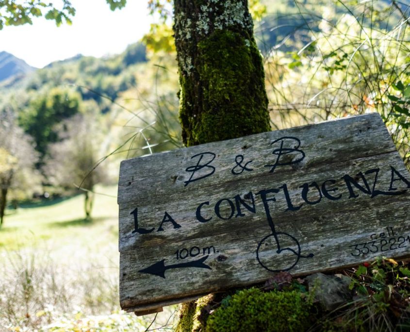 Passaggi-d'autunno-Trapisa-di-sotto-0074