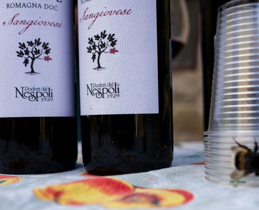 Passaggi-d'autunno-Trapisa-di-sotto-0093