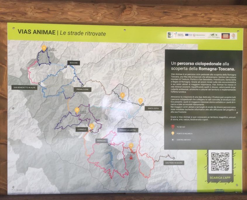 Vias Animae – Le strade ritrovate
