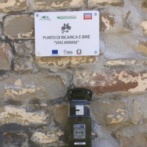 Vias Animae – Le strade ritrovate