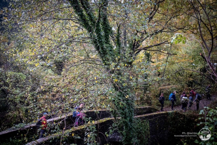 Passagg-d-autunno-2024-11