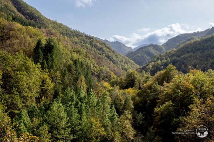 Passagg-d-autunno-2024-35
