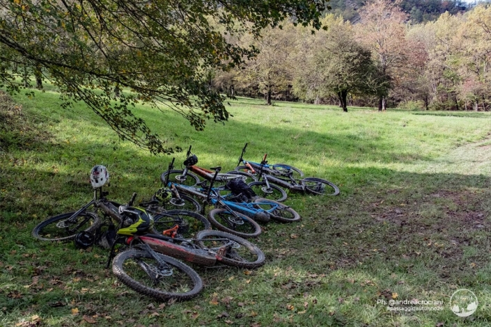Passaggi-d-autunno-2024-6